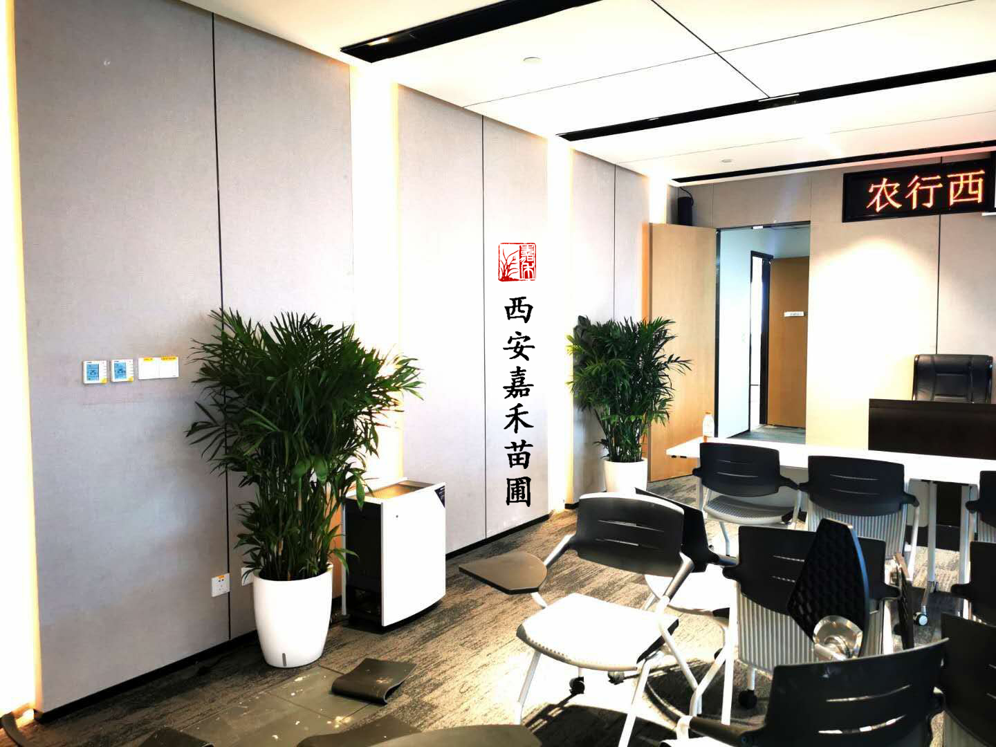 西安银行大厅办公室绿植租摆完成