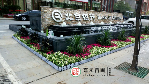 北京银行西安分行花卉绿植租摆|西安嘉禾苗圃