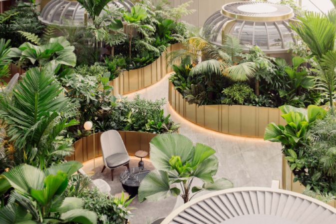 银行绿植花卉租赁丨变身「温室」的花旗银行办公室