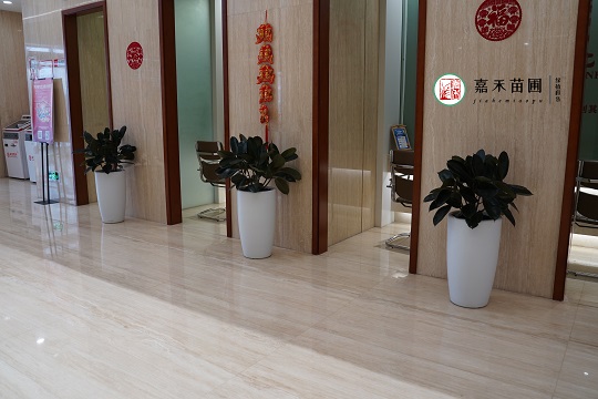 西安银行花卉绿植租赁公司|西安嘉禾苗圃