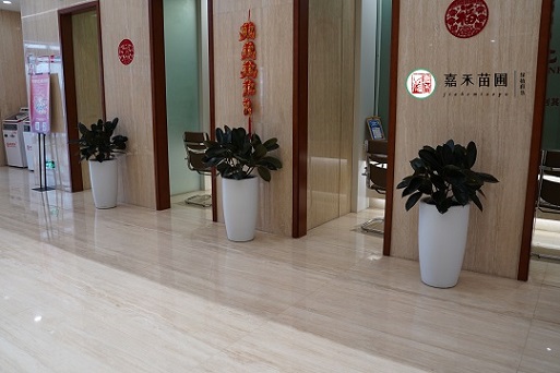 西安银行花卉绿植租赁方案！