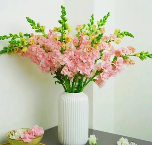 QQ20250529-103521.png