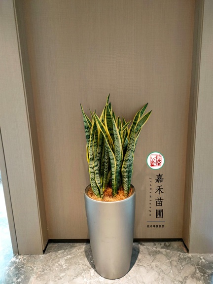 微信图片_20231008113729.jpg