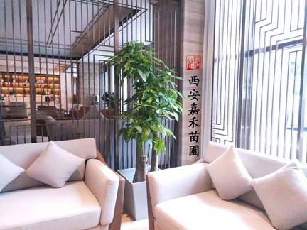 秋冬季节，3种花需要“懒养”，浇水越多越烂根，管住手！