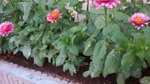 20251213/693cc94b90aa4.jpg 640 (1).jpg